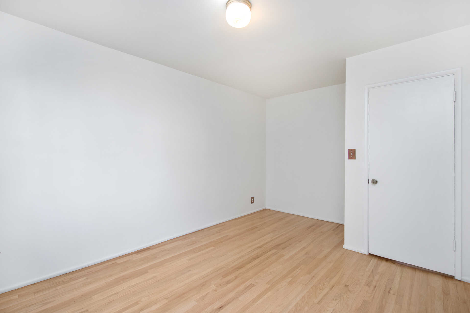 Gallery image 10